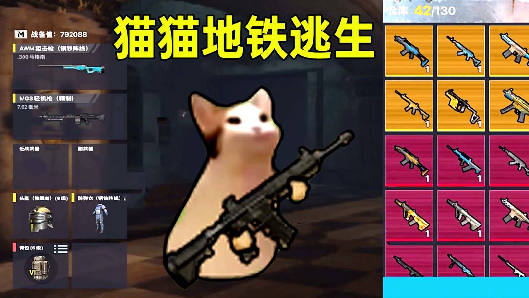 与鹿交配，成了这群猴子的新时尚